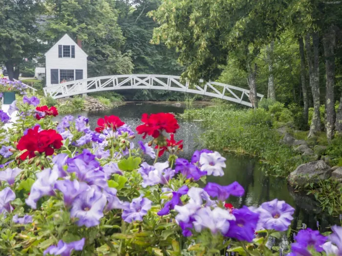 Framed Print : USA, Maine. Somesville bridge in Acadia National Park with petunias Framed Print : USA, Maine. Somesville bridge in Acadia National Park with petunias