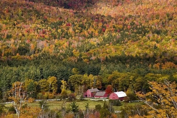 USA, Maine, Sunday River. Red farm buildings in the autumn-colored landscape