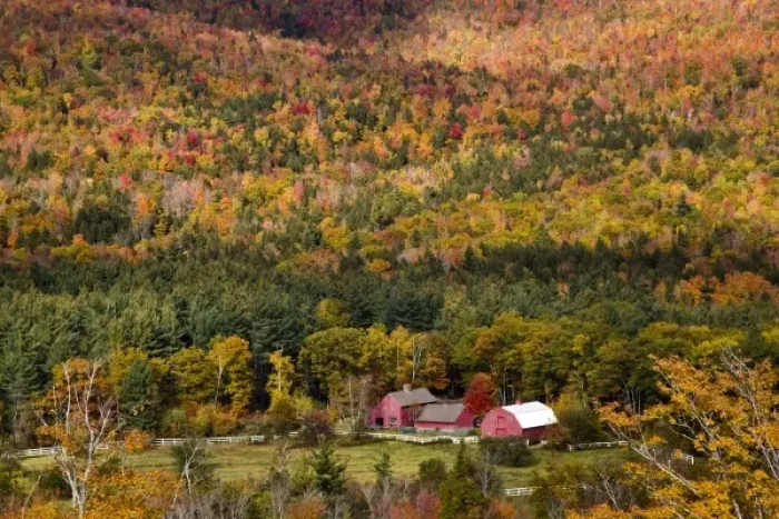 Framed Print : USA, Maine, Sunday River. Red farm buildings in the autumn-colored landscape