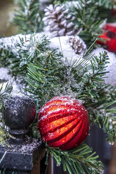 USA, Maryland, Bethesda, First snowfall on Holiday decoration