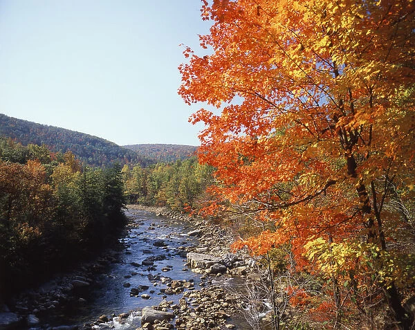 USA, Maryland, Potomac State Forest, North Fork of the Potomac River