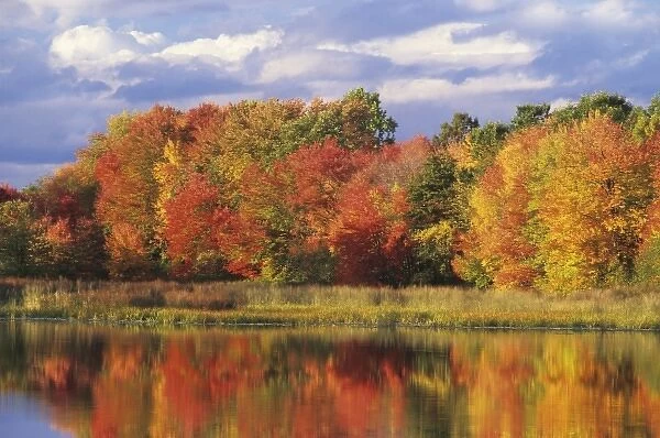 USA, Massachusetts, Acton. Reflection of autumn foliage and clouds in pond