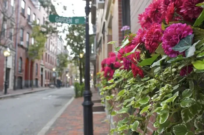 Framed Print : USA, Massachusetts, Boston. Beacon Hill