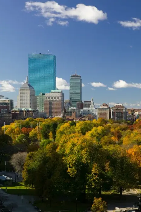 Framed Print : USA-Massachusetts-Boston: Office Buildings of the Back Bay and Boston Common / Autumn Framed Print : USA-Massachusetts-Boston: Office Buildings of the Back Bay and Boston Common / Autumn