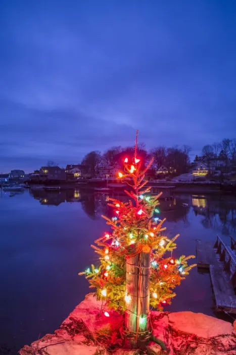Framed Print : USA, Massachusetts, Cape Ann, Annisquam. Lobster Cove, Christmas Tree Framed Print : USA, Massachusetts, Cape Ann, Annisquam. Lobster Cove, Christmas Tree