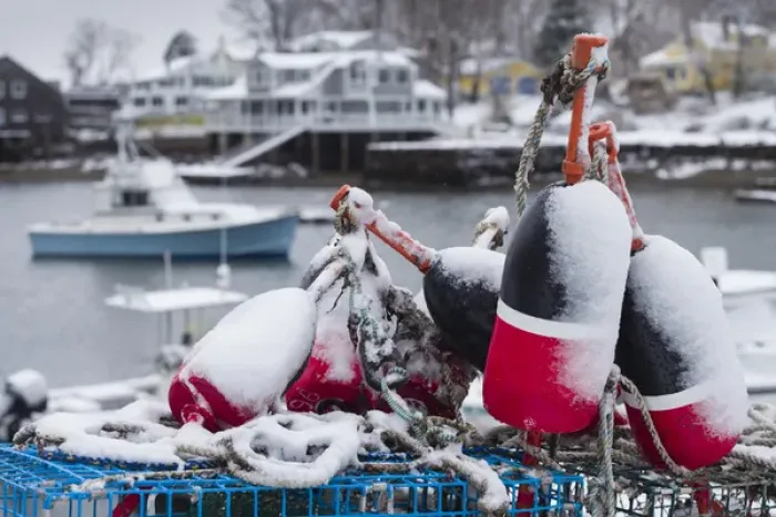 Framed Print : USA, Massachusetts, Cape Ann, Gloucester, early snow fall and lobster buoys on Lobster