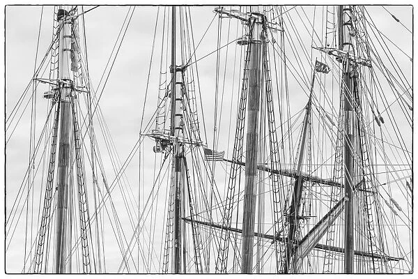 USA, Massachusetts, Cape Ann, Gloucester. Gloucester Schooner Festival, schooner masts