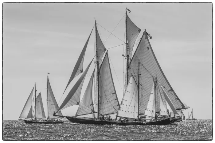 Framed Print : USA, Massachusetts, Cape Ann, Gloucester. Gloucester Schooner Festival