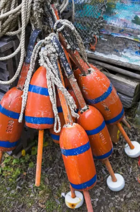 Framed Print : USA, Massachusetts, Cape Ann, Rockport, lobster buoys Framed Print : USA, Massachusetts, Cape Ann, Rockport, lobster buoys