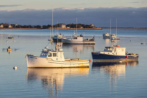 USA, Massachusetts, Cape Cod, Chatham. Chatham Harbor at dawn