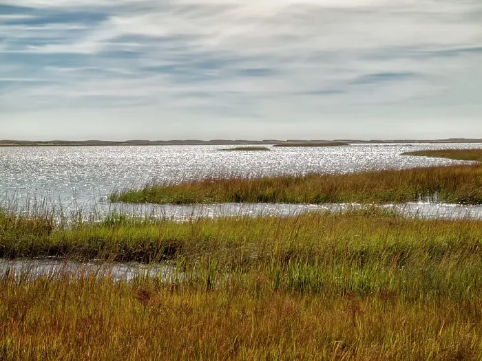 Framed Print : USA, Massachusetts, Cape Cod, Eastham, View of marsh from Fort Hill Rural Historic District Framed Print : USA, Massachusetts, Cape Cod, Eastham, View of marsh from Fort Hill Rural Historic District