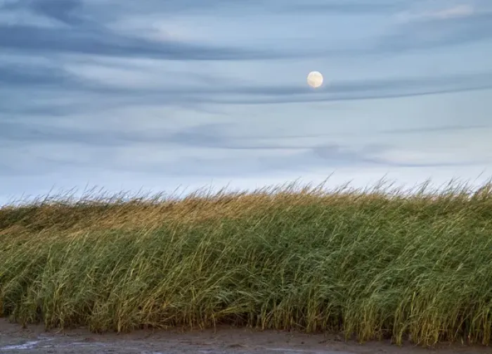 Framed Print : USA, Massachusetts, Cape Cod, Full moon rising at First Encounter Beach Framed Print : USA, Massachusetts, Cape Cod, Full moon rising at First Encounter Beach