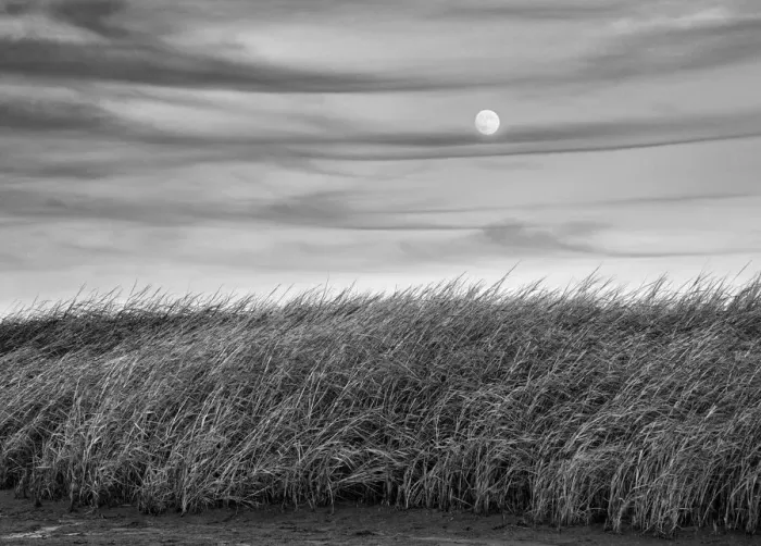 Framed Print : USA, Massachusetts, Cape Cod, Full moon rising at First Encounter Beach Framed Print : USA, Massachusetts, Cape Cod, Full moon rising at First Encounter Beach