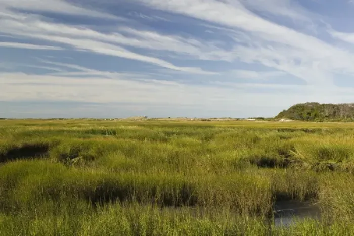 Framed Print : USA-MASSACHUSETTS-Cape Cod: Provincetown- Provincelands Marshlands / Morning Framed Print : USA-MASSACHUSETTS-Cape Cod: Provincetown- Provincelands Marshlands / Morning