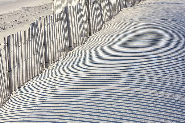 USA, Massachusetts, Nantucket Island. Madaket. Madaket Beach, sand fence and shadows