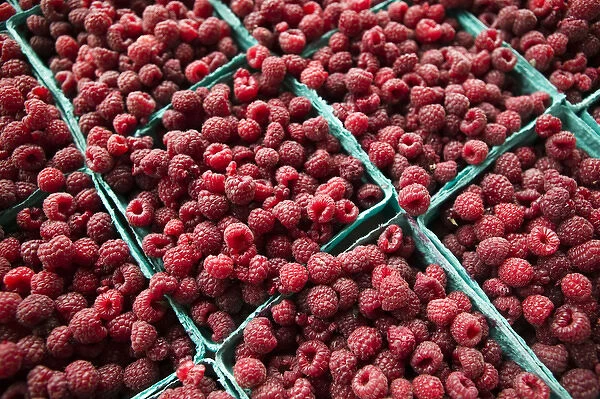 USA-Michigan-Ann Arbor: Ann Arbor Farmers Market-Raspberries