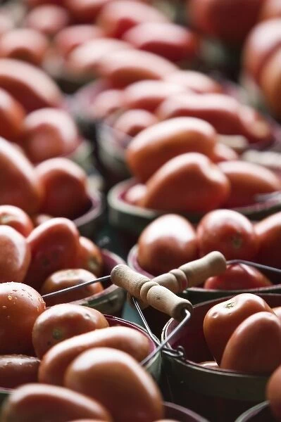 USA, Michigan, Ann Arbor: Ann Arbor Farmers Market, Tomatoes