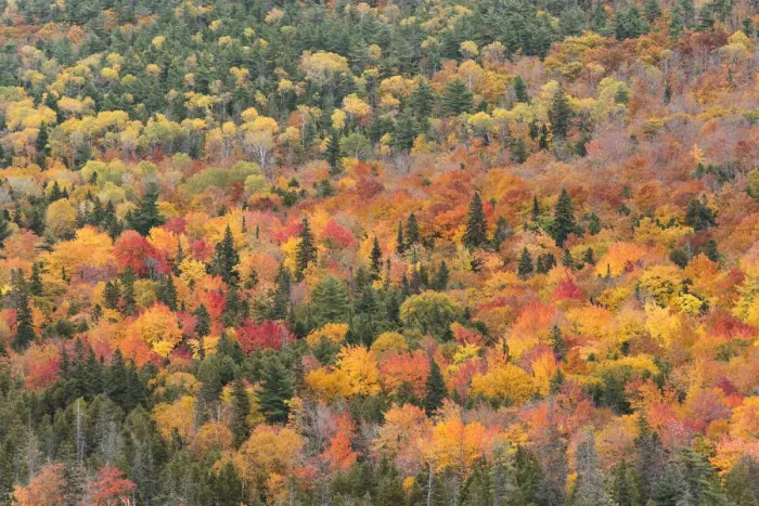 Framed Print : USA, Michigan. Autumn foliage viewed from Brockway Summit Drive in the Keewenaw Peninsula Framed Print : USA, Michigan. Autumn foliage viewed from Brockway Summit Drive in the Keewenaw Peninsula