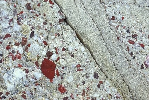 USA, Michigan, Drummond Island, Conglomerate of pudding stone, jasper quartz, and quartzite rocks