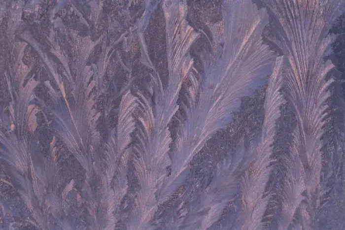 Framed Print : USA, Michigan, Feathery frost patterns on window. Credit as: Mark Carlson / Jaynes Framed Print : USA, Michigan, Feathery frost patterns on window. Credit as: Mark Carlson / Jaynes