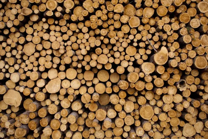Framed Print : USA, Michigan, Gulliver, Stacked piles of cut logs at Zellar Forest Products