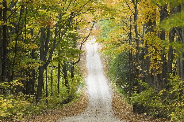 USA-Michigan-Lake Michigan Shore-Eastport: Country Road in Autumn