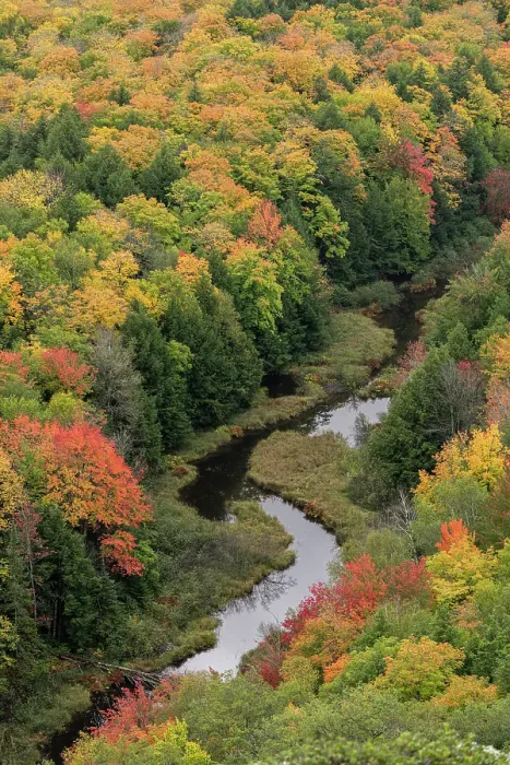 Framed Print : USA, Michigan, Ottawa National Forest. Lake of the Clouds and forest in autumn. ©Don Grall / Jaynes Gallery / DanitaDelimont.com Framed Print : USA, Michigan, Ottawa National Forest. Lake of the Clouds and forest in autumn. ©Don Grall / Jaynes Gallery / DanitaDelimont.com