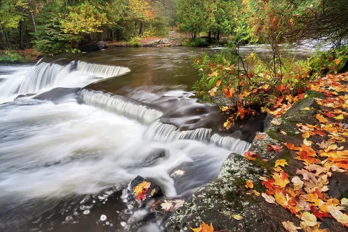Framed Print : USA, Michigan, Ottawa National Forest. Fallen maple leaves and waterfalls on Ontonagon River. ©Don Grall / Jaynes Gallery / DanitaDelimont.com Framed Print : USA, Michigan, Ottawa National Forest. Fallen maple leaves and waterfalls on Ontonagon River. ©Don Grall / Jaynes Gallery / DanitaDelimont.com