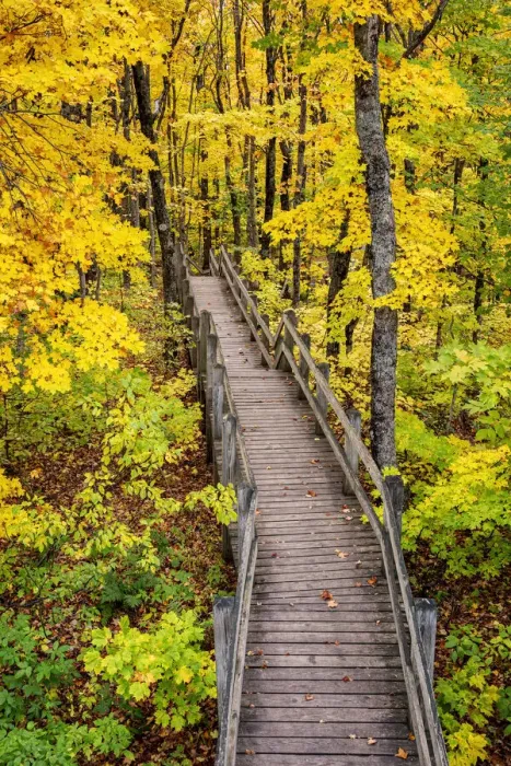 Framed Print : USA, Michigan, Porcupine Mountains Wilderness State Park, Boardwalk to Summit Peak