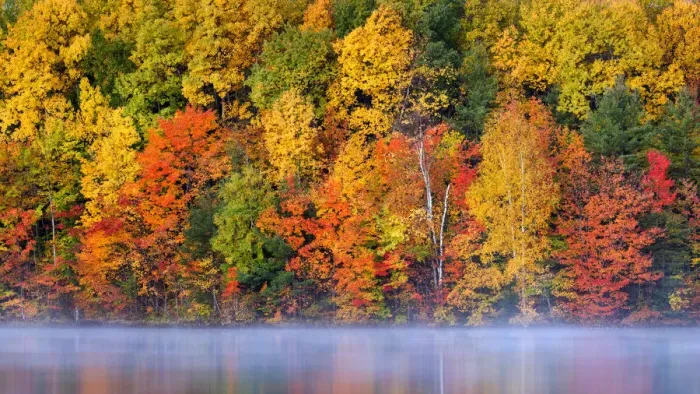 Framed Print : USA, Michigan, Upper Peninsula, Autumn fog and reflections on Moccasin Lake Framed Print : USA, Michigan, Upper Peninsula, Autumn fog and reflections on Moccasin Lake