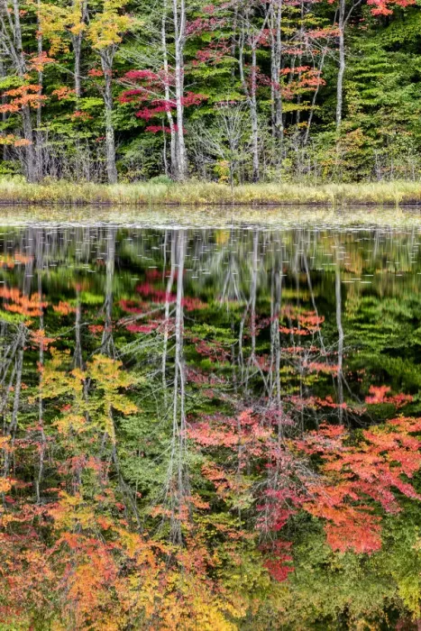 Framed Print : USA, Michigan, Upper Peninsula, Thornton Lake reflections Framed Print : USA, Michigan, Upper Peninsula, Thornton Lake reflections