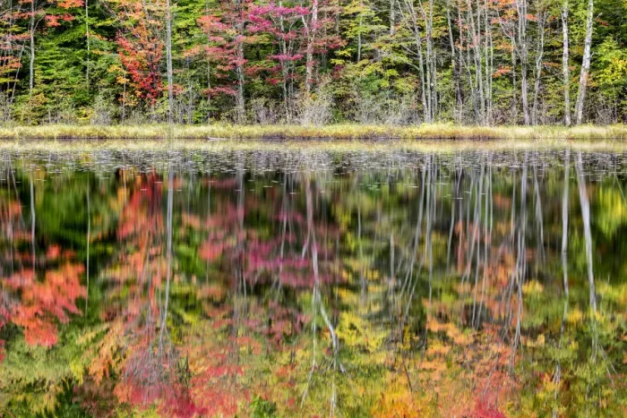 Framed Print : USA, Michigan, Upper Peninsula, Thornton Lake reflections Framed Print : USA, Michigan, Upper Peninsula, Thornton Lake reflections
