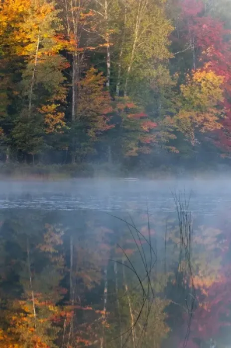 Framed Print : USA, Michigan, Upper Peninsula. Thornton Lake with fog and tree reflections Framed Print : USA, Michigan, Upper Peninsula. Thornton Lake with fog and tree reflections