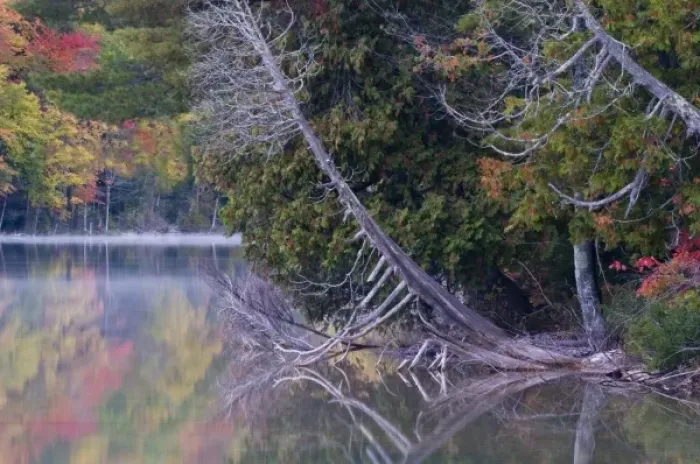 Framed Print : USA, Michigan, Upper Peninsula. Petes Lake reflects autumn foliage and dead tree Framed Print : USA, Michigan, Upper Peninsula. Petes Lake reflects autumn foliage and dead tree