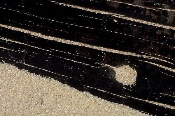 USA, Michigan, Upper Peninsula, Charred driftwood in beach sand