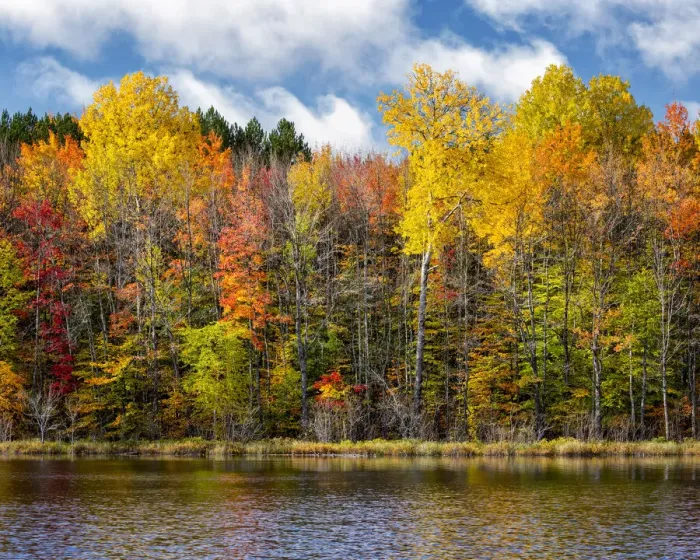 Framed Print : USA, Michigan, Upper Peninsula, Munising. Autumn trees at Thornton Lake Framed Print : USA, Michigan, Upper Peninsula, Munising. Autumn trees at Thornton Lake