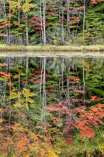 USA, Michigan, Upper Peninsula, Thornton Lake reflections