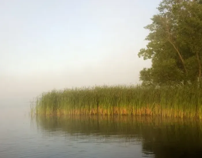 Framed Print : USA, Minnesota, Hoyt Lakes. Foggy morning lake Framed Print : USA, Minnesota, Hoyt Lakes. Foggy morning lake