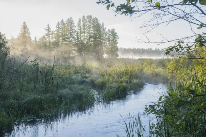Framed Print : USA, Minnesota, Itasca State Park, Mississippi Headwaters