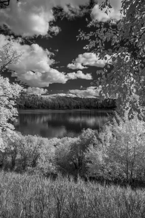 Framed Print : USA, Minnesota, La Salle State Recreation area Framed Print : USA, Minnesota, La Salle State Recreation area