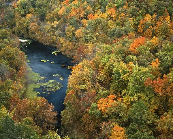 USA, Missouri, Ha Ha Tonka State Park, Fall forest and Ha Ha Tonka Spring