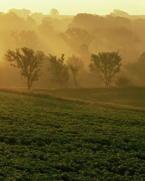 Framed Print : USA, Missouri, Holt County, Sunrise