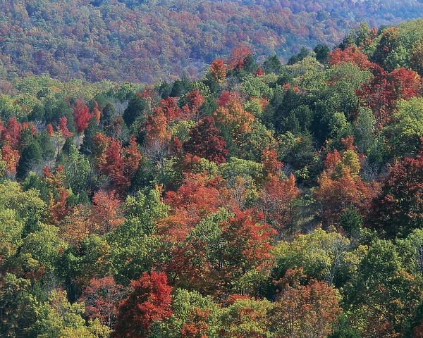 USA, Missouri, Mark Twain National Forest, Autumn