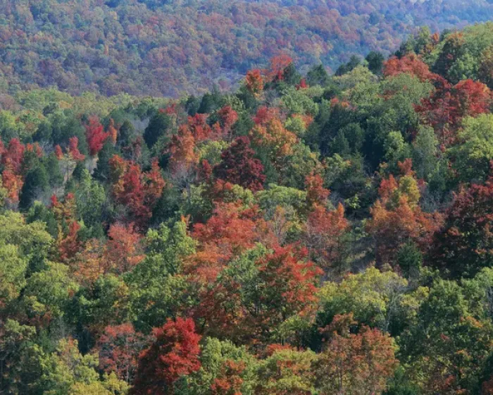 Framed Print : USA, Missouri, Mark Twain National Forest, Autumn Framed Print : USA, Missouri, Mark Twain National Forest, Autumn