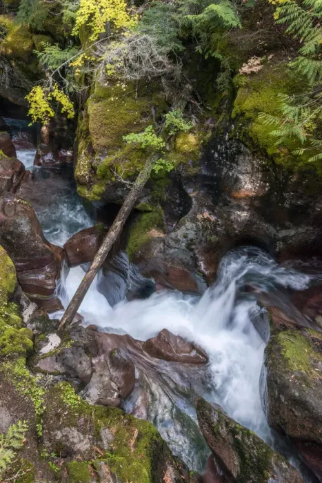 Framed Print : USA, Montana. Avalanche Creek, Glacier National Park Framed Print : USA, Montana. Avalanche Creek, Glacier National Park