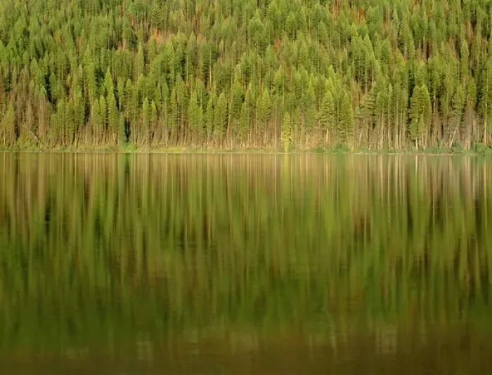 Framed Print : USA, Montana, Glacier National Park, Conifer forest reflects in Kintla Lake Framed Print : USA, Montana, Glacier National Park, Conifer forest reflects in Kintla Lake