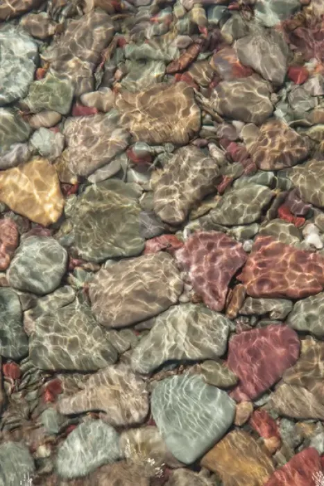 Framed Print : USA, Montana, Glacier National Park. Multi-colored stones line shore on St Mary Lake