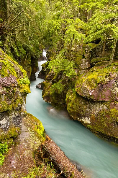 USA, Montana, Glacier National Park. Waterfall landscape