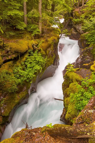 USA, Montana, Glacier National Park. Waterfall landscape