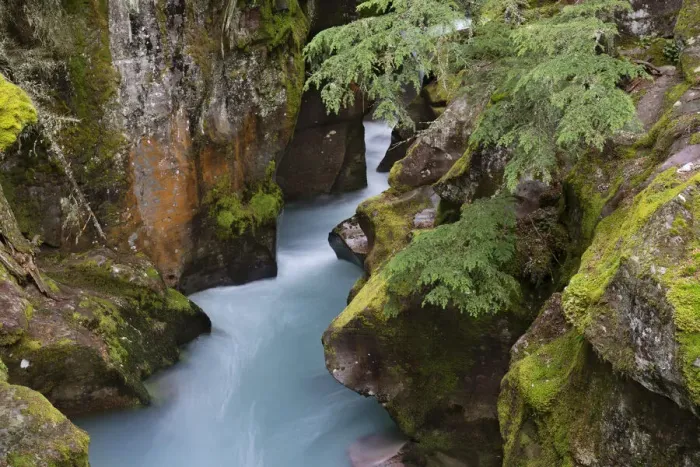 Framed Print : USA, Montana, Glacier National Park. Glacial silt in Avalanche Creek flows through gorge Framed Print : USA, Montana, Glacier National Park. Glacial silt in Avalanche Creek flows through gorge